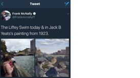 Still Life With Liffey – An Irishman’s Diary about art, literature, and internet celebrity