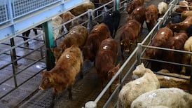 Coronavirus: New measures aim to safeguard food production, help farmers