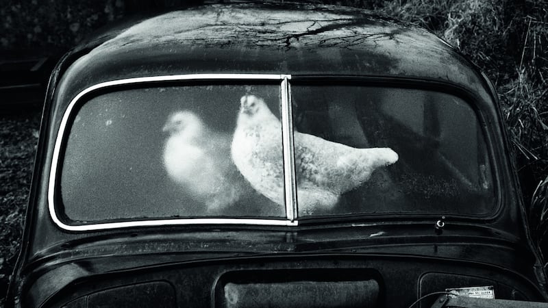 Glencar, County Sligo, 1981. Phoograph: © Martin Parr / Magnum Photos