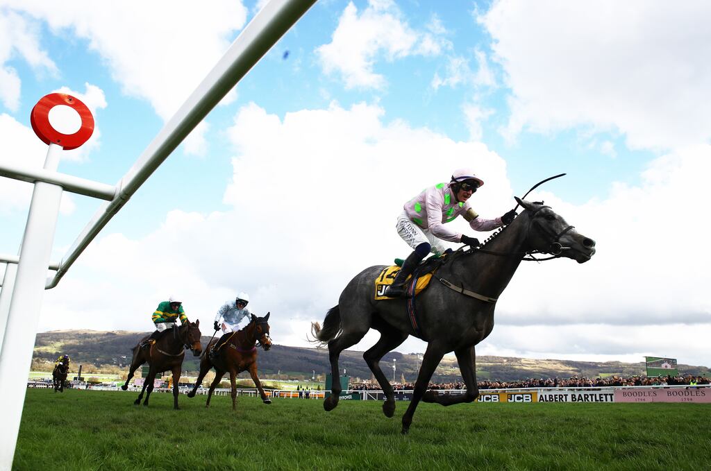 Willie Mullins’s top-class mare Lossiemouth is expected to take on Teahupoo in Sunday’s Hatton’s Grace if she is fit enough. Photograph: Michael Steele/Getty Images