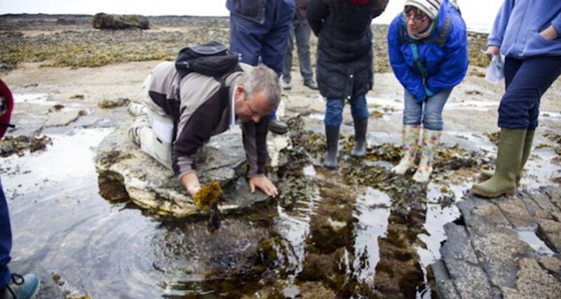 Evan Talty: 'To prepare ourselves for overseas markets we changed the name to Wild Irish Sea Veg, to better capitalise on Ireland’s clean, green image abroad.'
