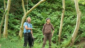 Europe’s most exciting plant nursery is based on the outskirts of Dublin