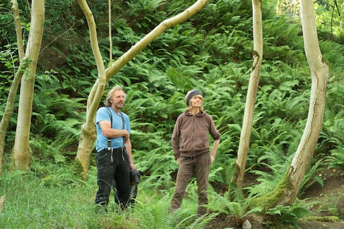 Europe’s most exciting plant nursery is based on the outskirts of Dublin