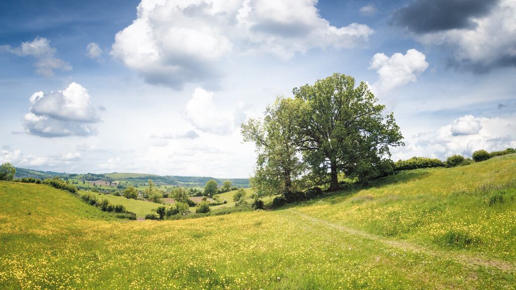 Nice view, but what about the wifi? Photograph: iStock