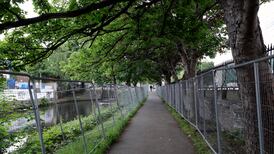 ‘Eyesore’ Grand Canal barriers have cost €125,000 to date with four future options in consideration, PAC told