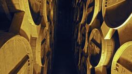 New Year lifts Chinese sales for Pernod