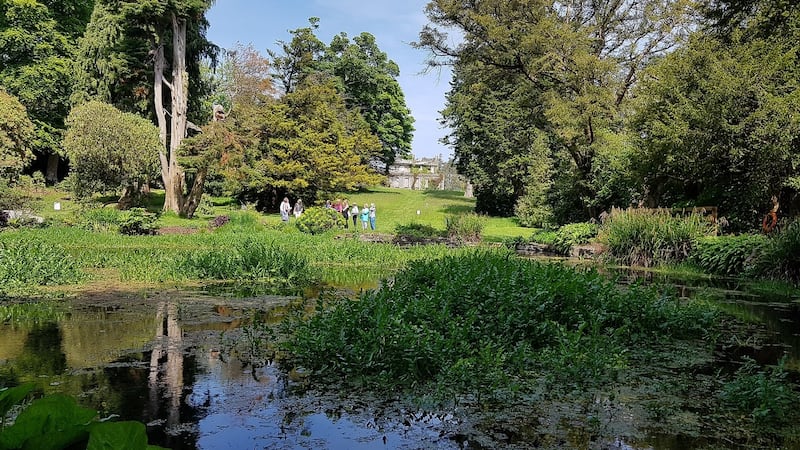 National Botanic Gardens, Kilmacurragh. Photograph: Wicklow Tourism