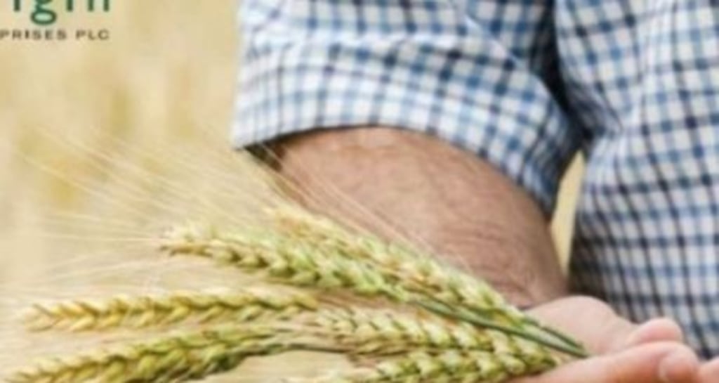 Origin says it is mindful of the price volatility and supply chain risks that could pose a challenge in the second half