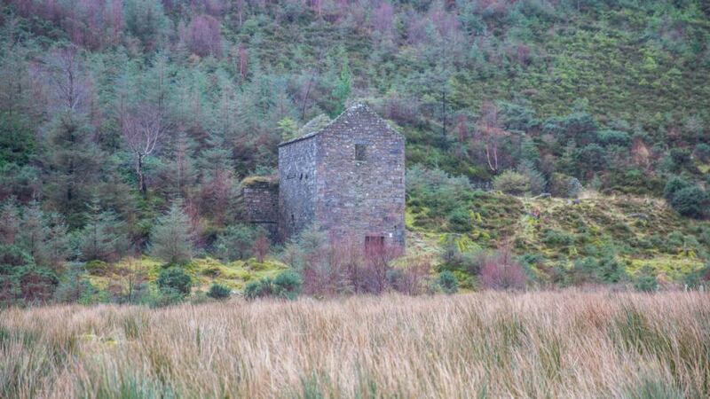 Adopt a Monument: the ruins of the 19th-century Baravore lead-crushing house, in Glenmalure Valley