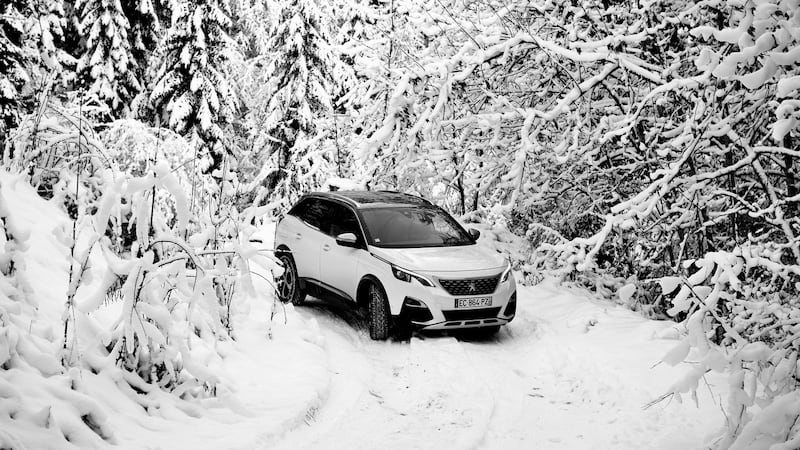 Even the goats are wary of the hill descent