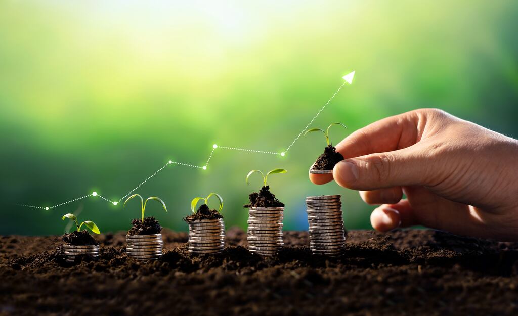 Funds classified as article nine under EU sustainable finance disclosure regulation, or ‘dark green’ funds, pursue sustainable goals as an investment objective. Photograph: iStock