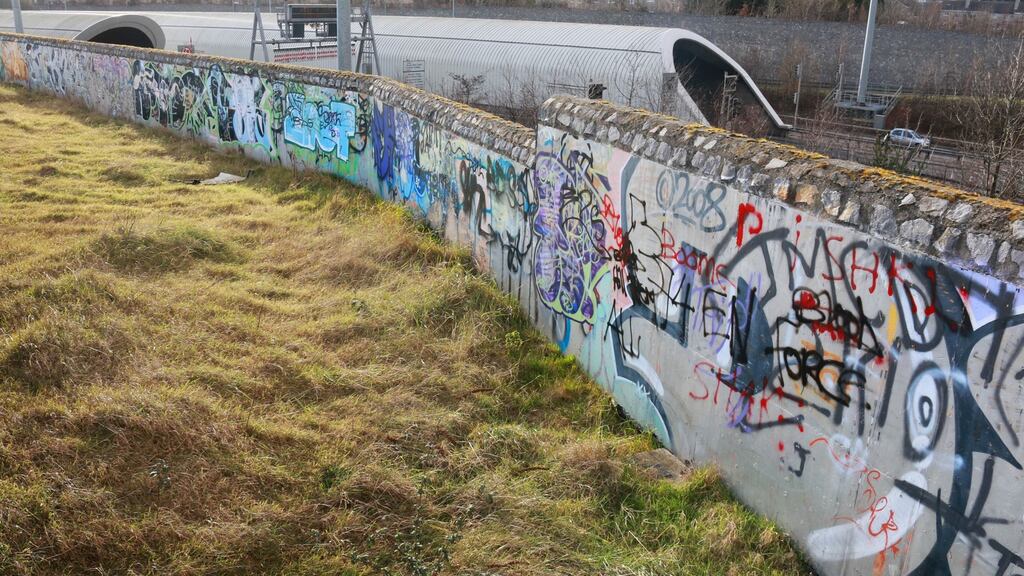 Part of the Oscar Traynor site in Dublin. Photograph: Nick Bradshaw