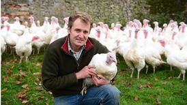 Video: turkey producers prepare for biggest day of year