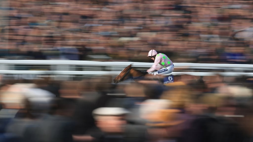 Ruby Walsh on Faugheen heads up to the finish line to win the Novices’ Hurdle at Cheltenham in 2014. Photograph: Richard Heathcote/Getty