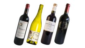 Wine feels the heat: How Bordeaux is adapting to climate change