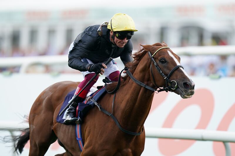 Stradivarius has been retired due to a foot injury. Photograph: Mike Egerton/PA