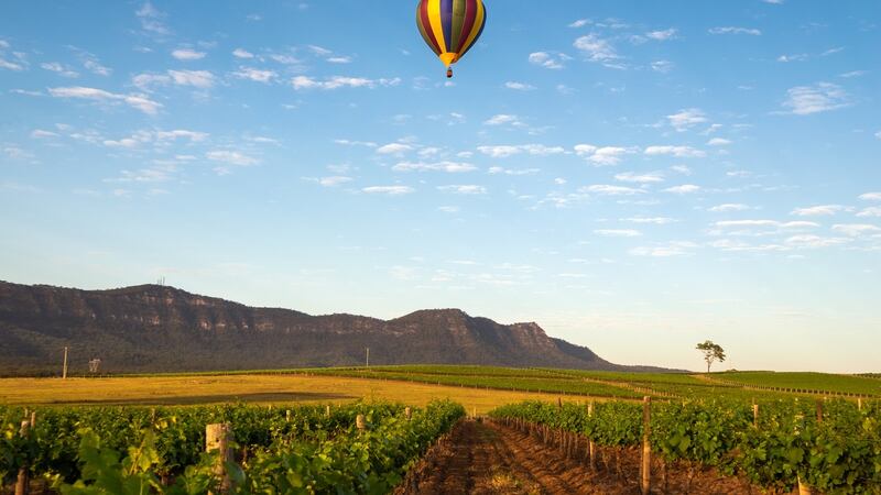 Air balloon over the Hunter Valley wine country. Photograph: iStock