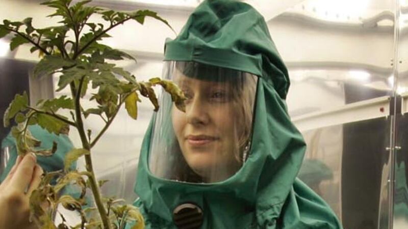 Prof Jenny McElwain, who is looking at 200 million-year-old fossils from Greenland