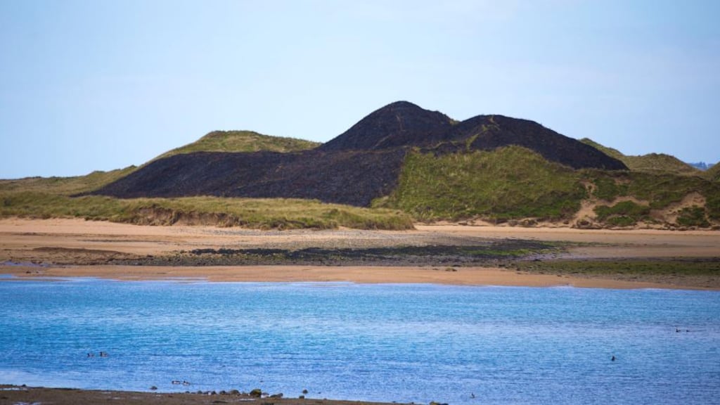 Up to 10 hectares of surface has been damaged by a sand dune fire at Tramore, Co Waterford. Photograph: Patrick Browne