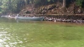 Pet owners warned over ‘deadly’ algae in lakes after death of four dogs