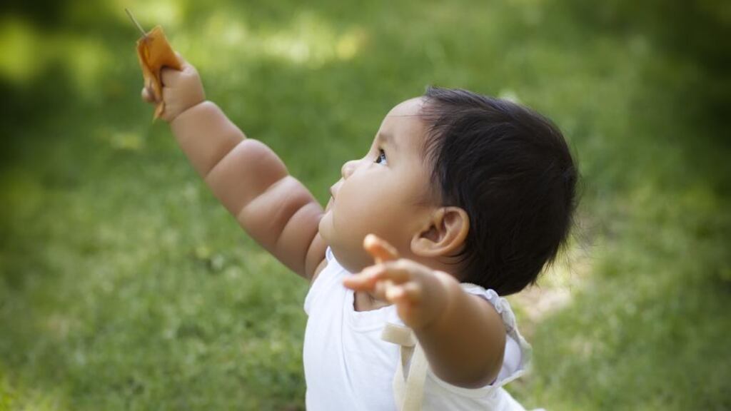 Looking for safety: the baby plonked down and extended its arms towards its mother. Photograph: iStock/Getty