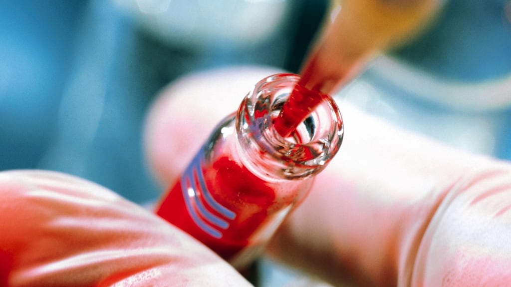 The Irish Blood Transfusion Service said: “Because a donor’s gender will have an impact on how donated blood is used for patients, changing that gender may have safety implication for recipient. Photograph: Tek Image