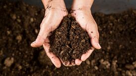 We should all be obsessing over the magic of soil