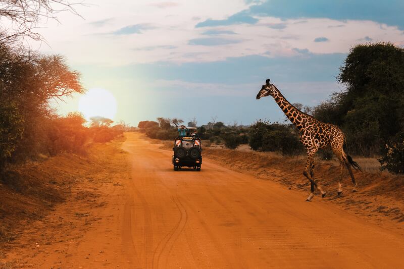 Kenya Safari with Newmarket Holidays