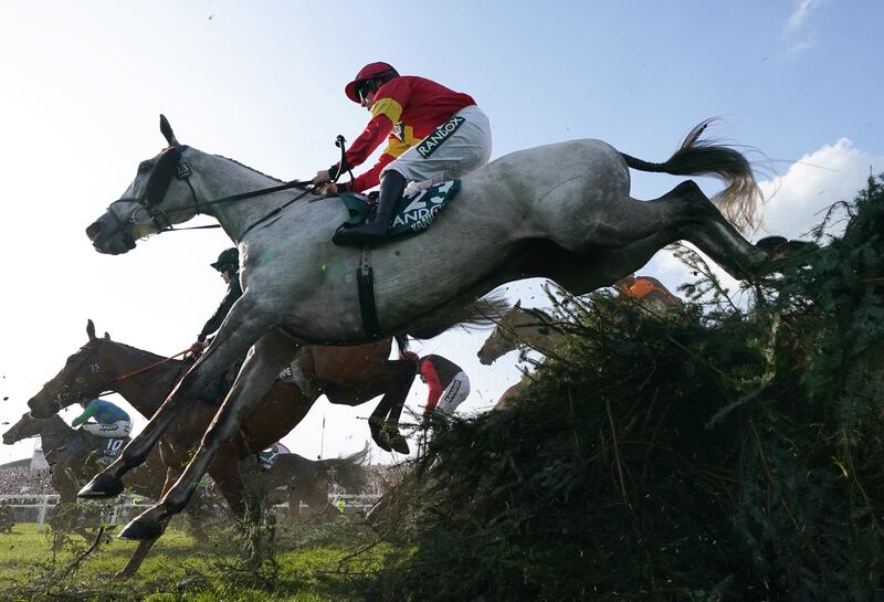 Vanillier ridden by Sean Flanagan in action during the Randox Grand National last year. Photograph: PA