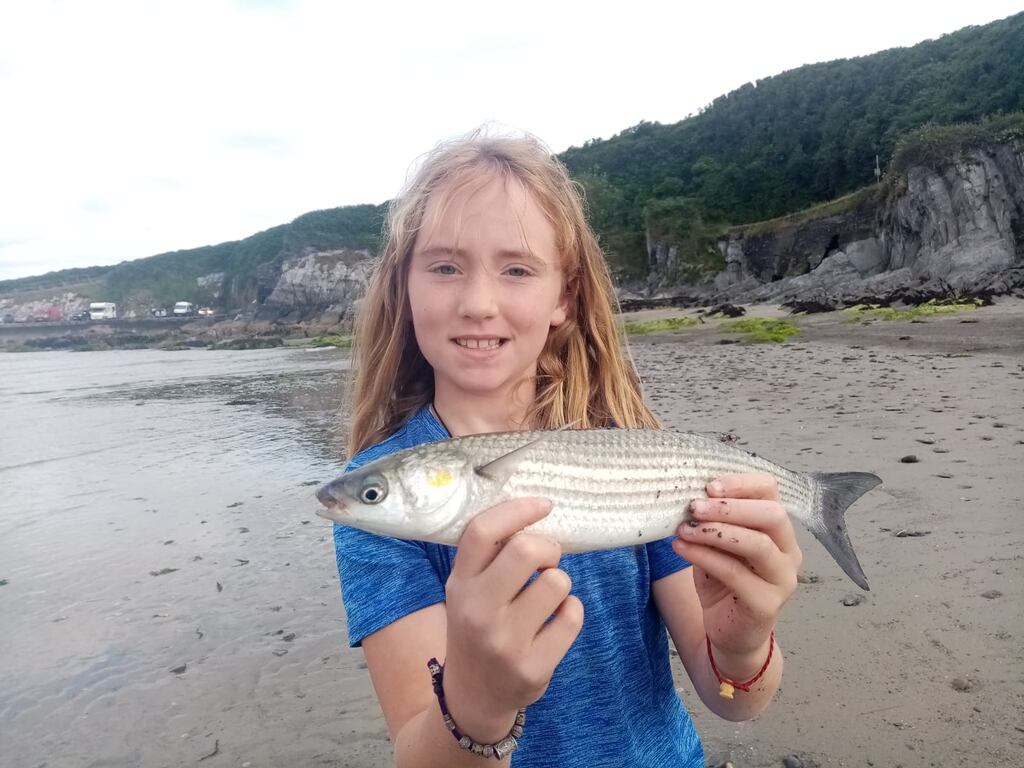 Amy O'Brien's golden grey mullet of 0.71kg caught at Rosscarbery, Co Cork, one of her four Irish specimens caught during the year