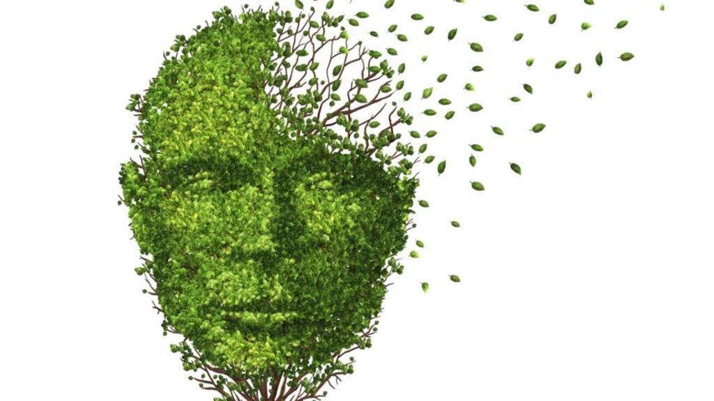 Alzheimer’s is the fourth leading cause of death in individuals over 65. Photograph: Getty Images