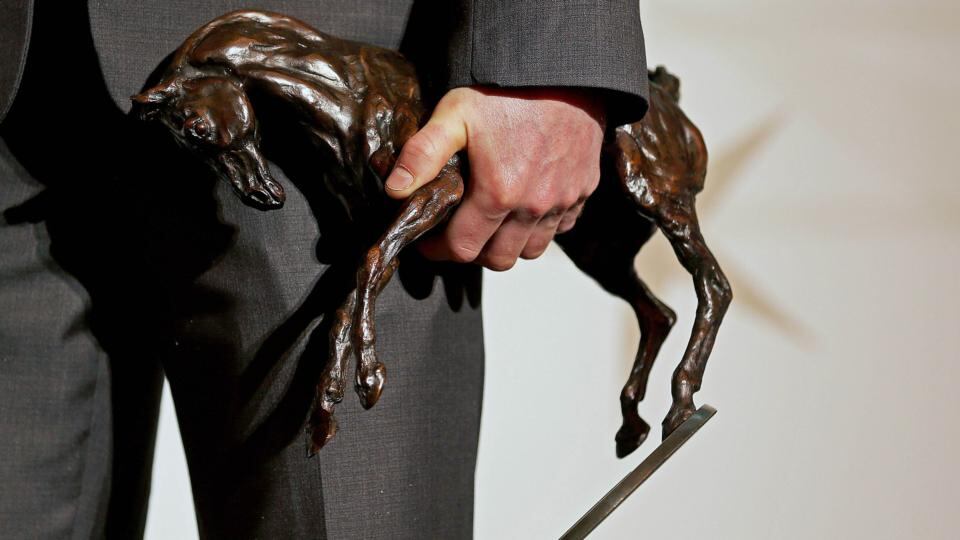 Horse Racing Ireland award. Photograph: Donall Farmer/Inpho