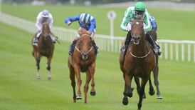 War Command resurrected at the Curragh after Phoenix reverse