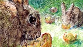 Michael Viney: Ireland paying high price for invasive species