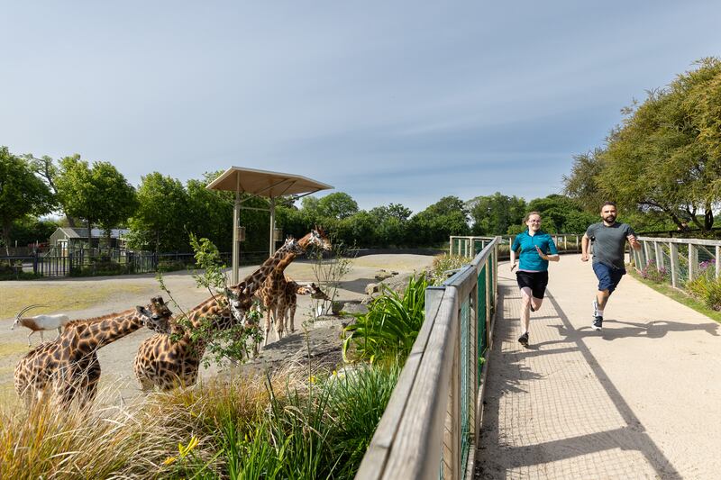 Eoin Burke and Francesca McAllister from Dublin Zoo announcing the Run for Wildlife event. Photograph: Patrick Bolger