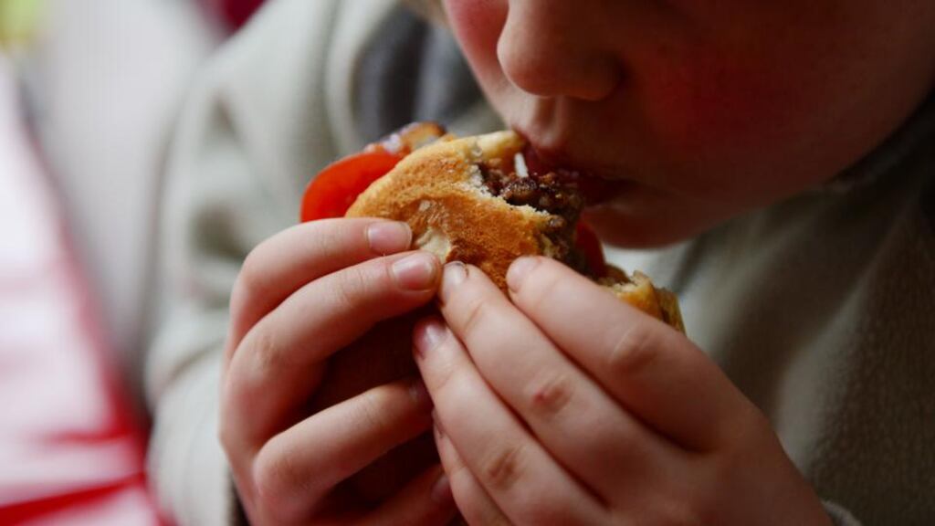 What will our children be eating next in their burgers? Photograph: Bryan O’Brien
