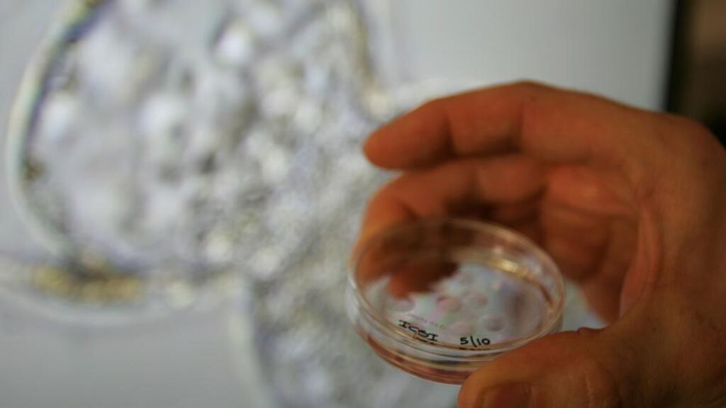 Britain is planning to become the first country in the world to offer controversial ’three-parent’ fertility treatments to families who want to avoid passing on incurable diseases to their children. Photograph: Alan Betson/The Irish Times