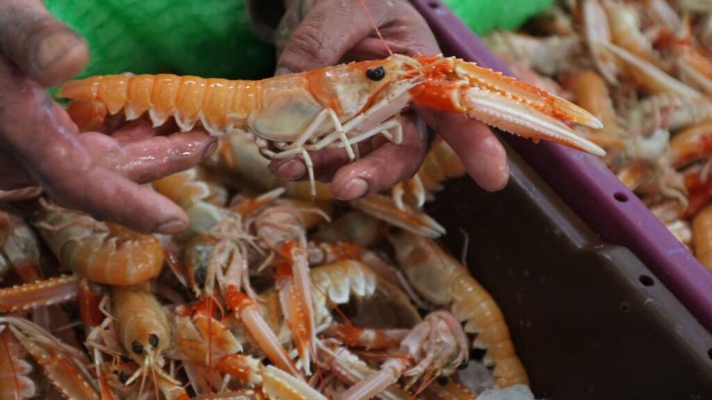 The FSAI called on food businesses to make sure they have a food safety management system in place. File photograph: Joe O’Shaughnessy/The Irish Times