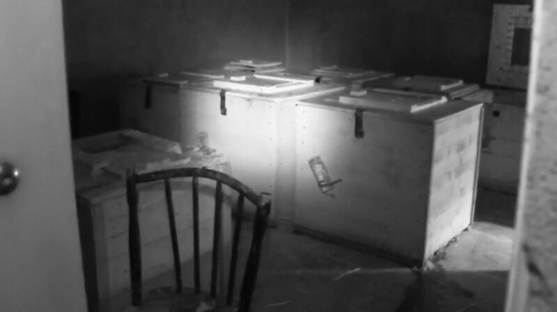 Still from a BBC Panorama investigation into the puppy trade showing containers in a Co Cavan breeding establishment.