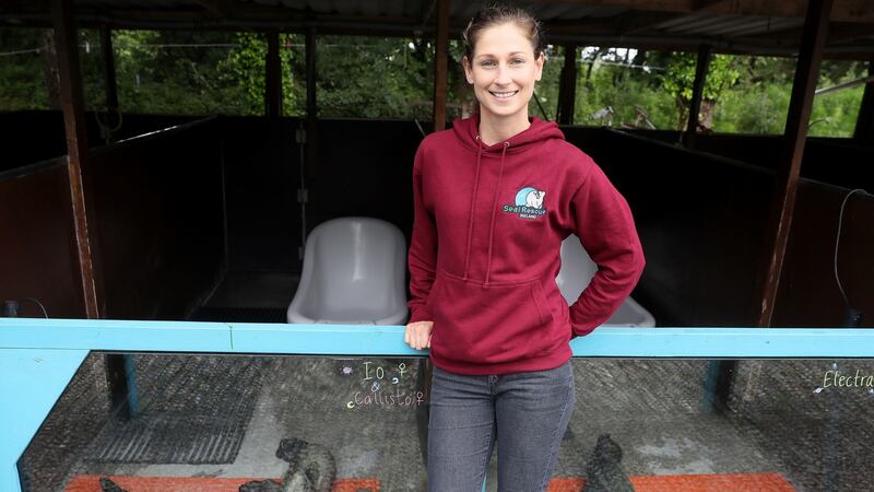 Melanie Croce, executive director at Seal Rescue Ireland, with some of their rescued common seal pups at their premises in Courtown, Co Wexford. Photograph: Brian Lawless/PA Wire