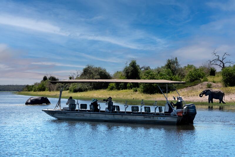 Botswana Chobe National Park