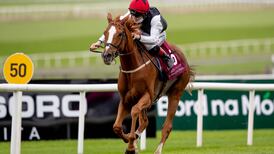 Weld ponders big-race options for Search For A Song