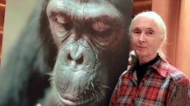 Thinking Anew – The wonder and genius of nature