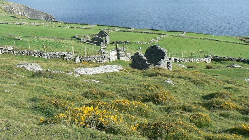 Dursey Island, Co Kerry: Rural coastal landscape, showing field patterns and abandoned houses. Photograph: Robert Devoy