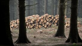 West’s call to halt destruction of Amazon rainforest is plain hypocrisy