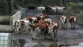 Preserving farming critical for Ireland’s future, says President