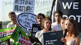 What impact will the EU nature restoration law have on Ireland?