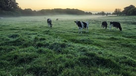 Minister wins appeal over payment to Co Tipperary farmer