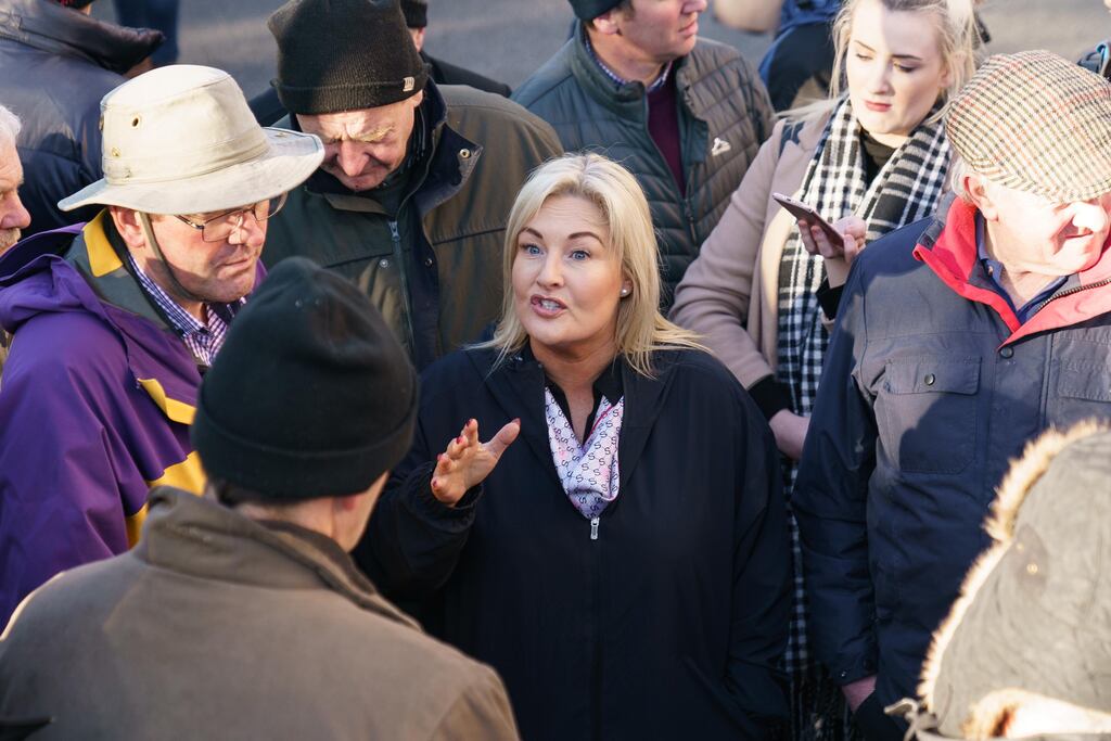 Verona Murphy was nominated to enter the race to be ceann comhairle by the Regional Group of Independents. Photograph: Fran Veale