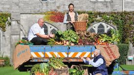 Environmentalism on campus: ‘Students don’t want to be told to turn the lights off’